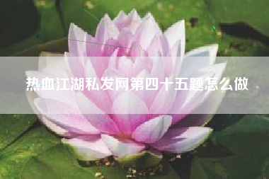热血江湖私发网第四十五题怎么做  第1张