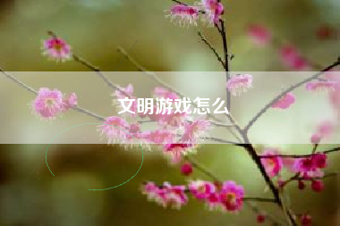 文明游戏怎么
