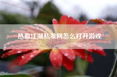 热血江湖私发网怎么打开游戏