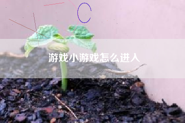 游戏小游戏怎么进入