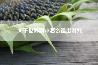 大千世界副本怎么退出游戏