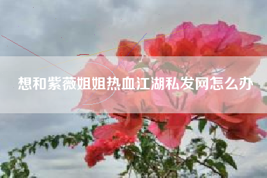 想和紫薇姐姐热血江湖私发网怎么办