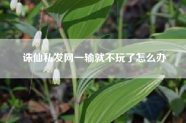 诛仙私发网一输就不玩了怎么办