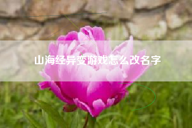 山海经异变游戏怎么改名字