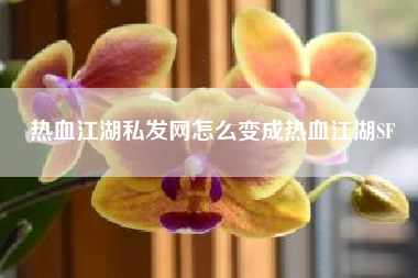 热血江湖私发网怎么变成热血江湖SF
