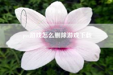 psv游戏怎么删除游戏下载