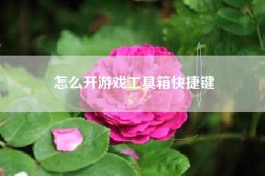 怎么开游戏工具箱快捷键  第1张