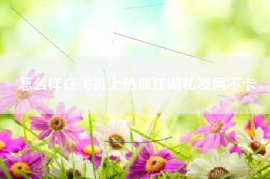 怎么样在飞机上热血江湖私发网不卡