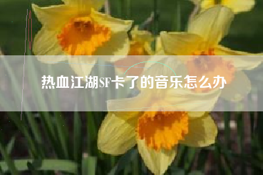 热血江湖SF卡了的音乐怎么办