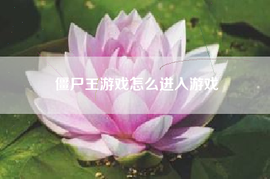 僵尸王游戏怎么进入游戏