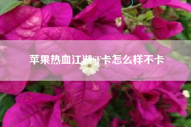 苹果热血江湖SF卡怎么样不卡