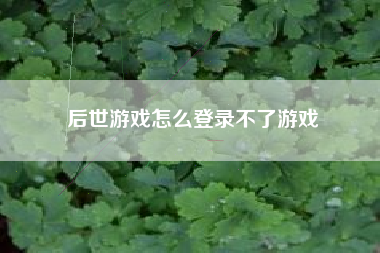 后世游戏怎么登录不了游戏