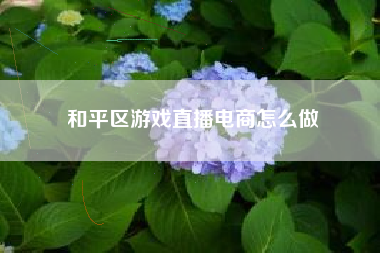 和平区游戏直播电商怎么做