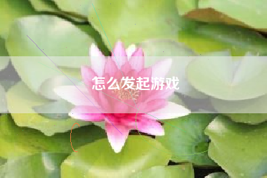 怎么发起游戏