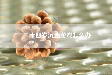 二十四岁沉迷游戏怎么办