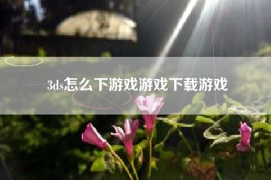 3ds怎么下游戏游戏下载游戏