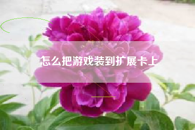 怎么把游戏装到扩展卡上