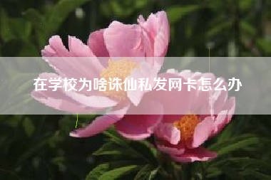 在学校为啥诛仙私发网卡怎么办