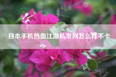 日本手机热血江湖私发网怎么样不卡