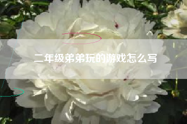 二年级弟弟玩的游戏怎么写