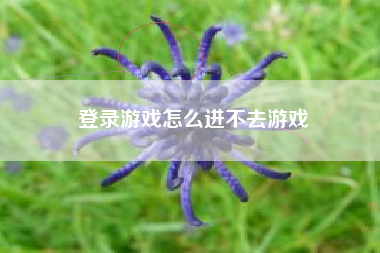 登录游戏怎么进不去游戏