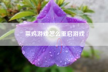 菜鸡游戏怎么重启游戏