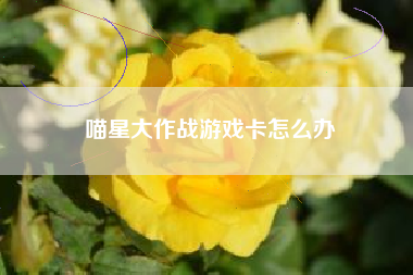 喵星大作战游戏卡怎么办