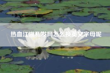 热血江湖私发网怎么换英文字母呢