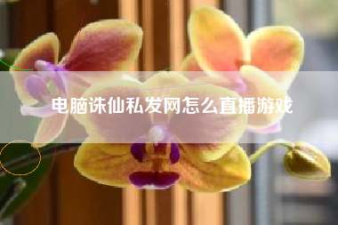 电脑诛仙私发网怎么直播游戏