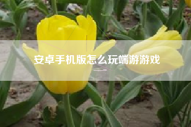 安卓手机版怎么玩端游游戏