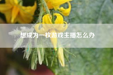 想成为一枚游戏主播怎么办