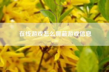 在线游戏怎么屏蔽游戏信息