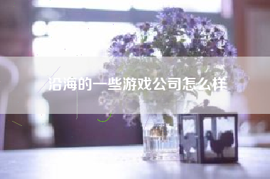 沿海的一些游戏公司怎么样