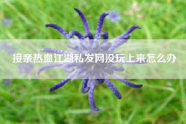 接亲热血江湖私发网没玩上来怎么办
