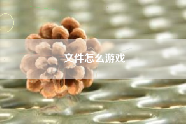 文件怎么游戏