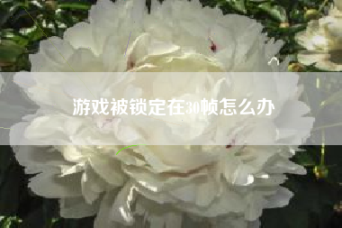 游戏被锁定在30帧怎么办