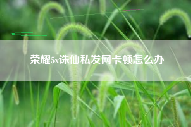 荣耀5x诛仙私发网卡顿怎么办