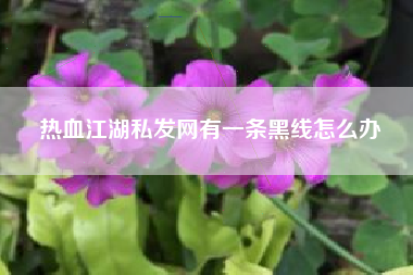 热血江湖私发网有一条黑线怎么办