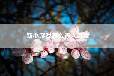 新小游戏怎么进入游戏