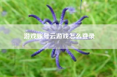 游戏账号云游戏怎么登录