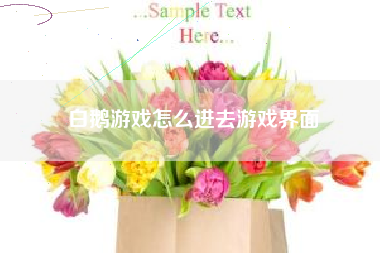 白鹅游戏怎么进去游戏界面