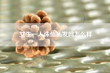 女生一人诛仙私发网怎么样