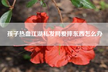 孩子热血江湖私发网爱摔东西怎么办