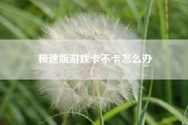 极速版游戏卡不卡怎么办