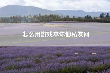 怎么用游戏本诛仙私发网