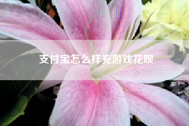 支付宝怎么样充游戏花呗