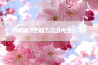 华硕双路服务器游戏怎么样
