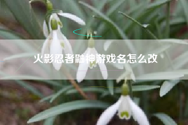 火影忍者鼬神游戏名怎么改