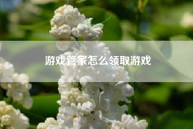 游戏管家怎么领取游戏  第1张