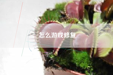 怎么游戏修复  第1张